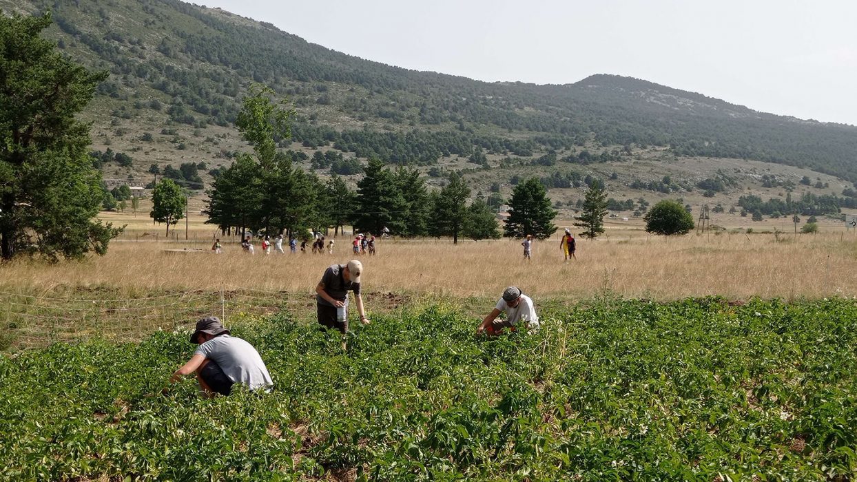 t-l-grandes-roches-2
